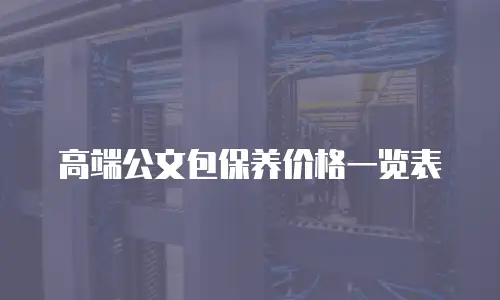高端公文包保养价格一览表