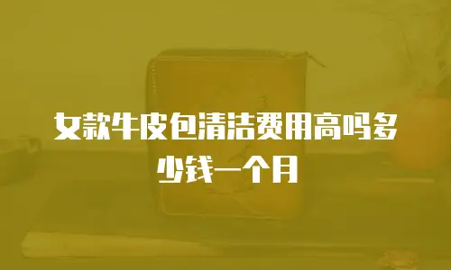 女款牛皮包清洁费用高吗多少钱一个月