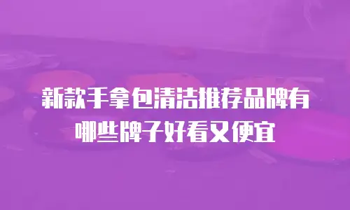 新款手拿包清洁推荐品牌有哪些牌子好看又便宜