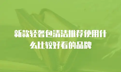 新款轻奢包清洁推荐使用什么比较好看的品牌