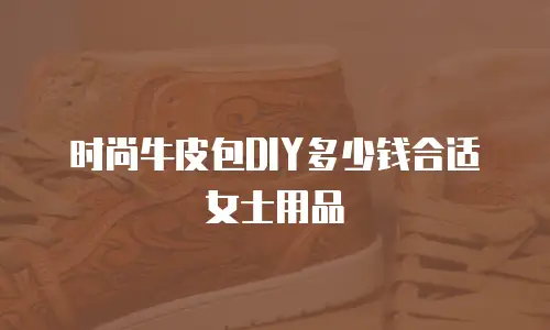 时尚牛皮包DIY多少钱合适女士用品