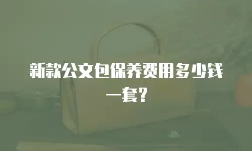 新款公文包保养费用多少钱一套？