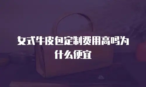 女式牛皮包定制费用高吗为什么便宜