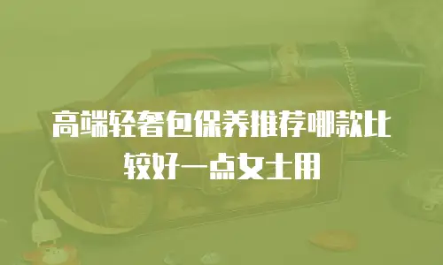 高端轻奢包保养推荐哪款比较好一点女士用