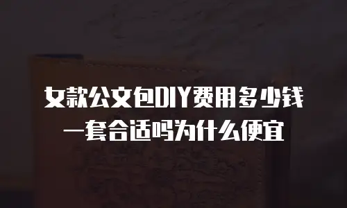 女款公文包DIY费用多少钱一套合适吗为什么便宜
