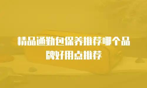 精品通勤包保养推荐哪个品牌好用点推荐