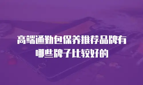 高端通勤包保养推荐品牌有哪些牌子比较好的