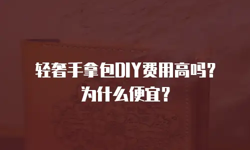 轻奢手拿包DIY费用高吗？为什么便宜？