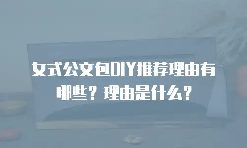 女式公文包DIY推荐理由有哪些？理由是什么？