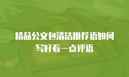 精品公文包清洁推荐语如何写好看一点评语