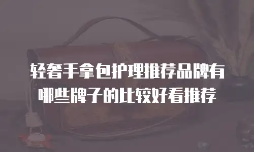 轻奢手拿包护理推荐品牌有哪些牌子的比较好看推荐