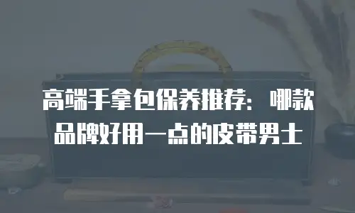 高端手拿包保养推荐：哪款品牌好用一点的皮带男士
