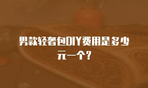 男款轻奢包DIY费用是多少元一个？