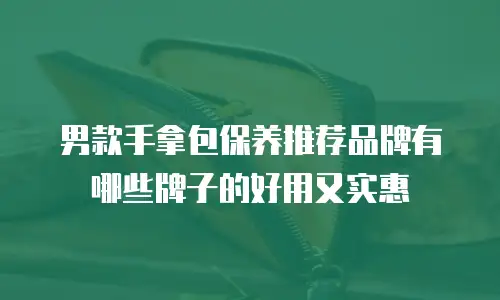 男款手拿包保养推荐品牌有哪些牌子的好用又实惠