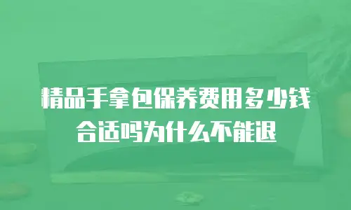 精品手拿包保养费用多少钱合适吗为什么不能退