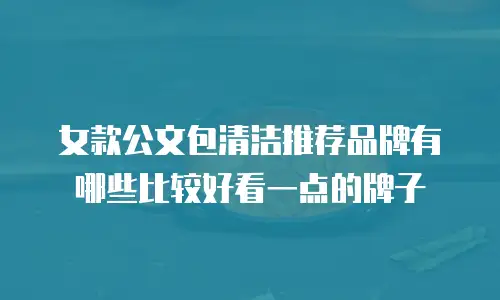 女款公文包清洁推荐品牌有哪些比较好看一点的牌子