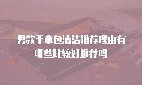 男款手拿包清洁推荐理由有哪些比较好推荐吗