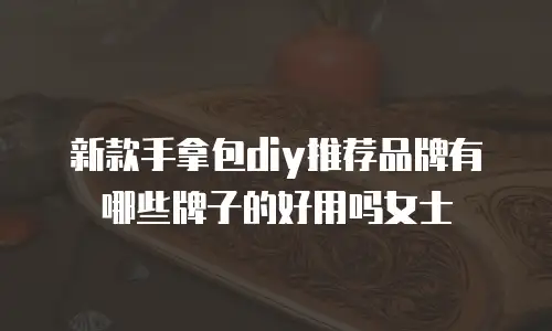 新款手拿包diy推荐品牌有哪些牌子的好用吗女士