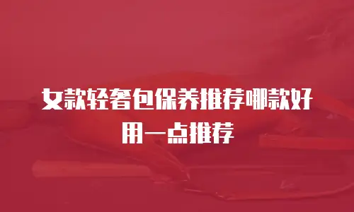 女款轻奢包保养推荐哪款好用一点推荐