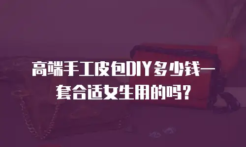 高端手工皮包DIY多少钱一套合适女生用的吗？