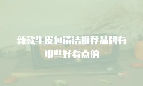 新款牛皮包清洁推荐品牌有哪些好看点的