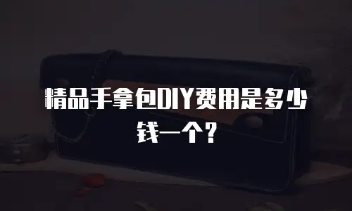 精品手拿包DIY费用是多少钱一个？