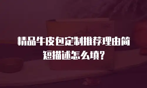 精品牛皮包定制推荐理由简短描述怎么填？