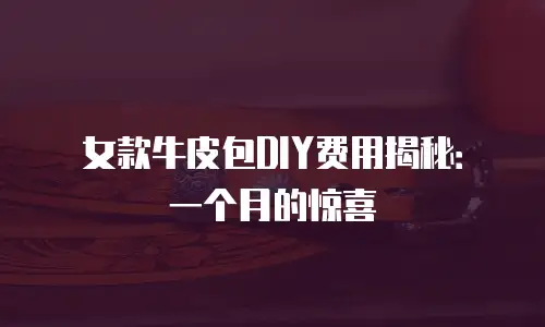 女款牛皮包DIY费用揭秘：一个月的惊喜