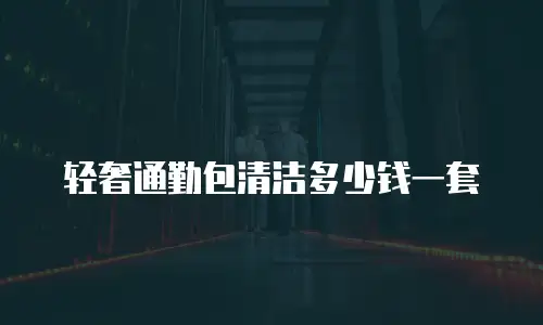 轻奢通勤包清洁多少钱一套