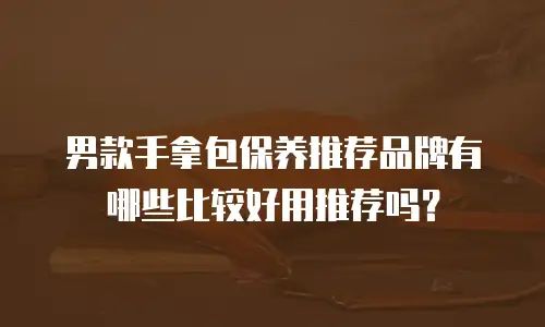 男款手拿包保养推荐品牌有哪些比较好用推荐吗？