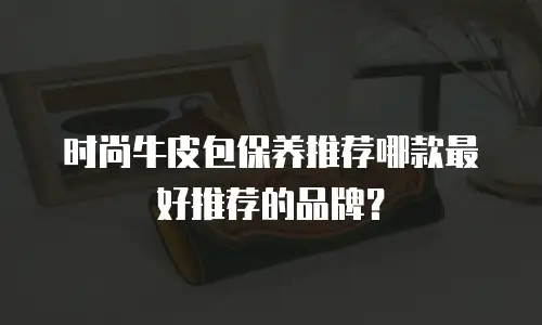 时尚牛皮包保养推荐哪款最好推荐的品牌？