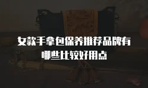 女款手拿包保养推荐品牌有哪些比较好用点