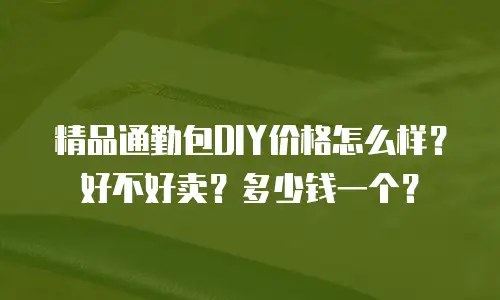 精品通勤包DIY价格怎么样？好不好卖？多少钱一个？