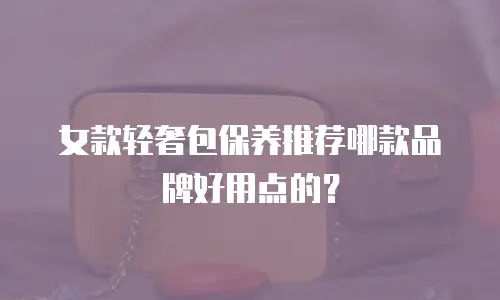 女款轻奢包保养推荐哪款品牌好用点的？