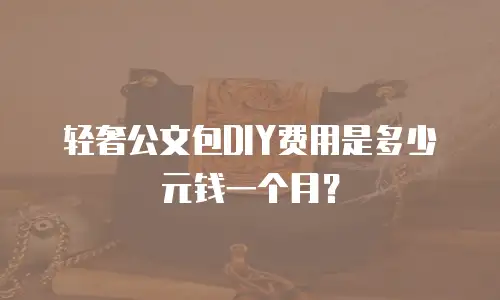 轻奢公文包DIY费用是多少元钱一个月？