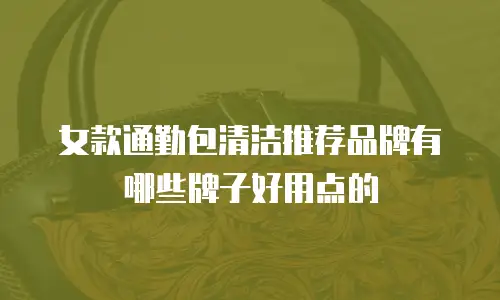 女款通勤包清洁推荐品牌有哪些牌子好用点的