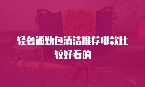 轻奢通勤包清洁推荐哪款比较好看的