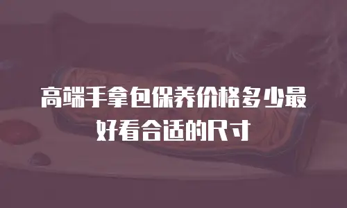 高端手拿包保养价格多少最好看合适的尺寸