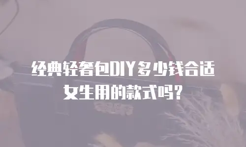 经典轻奢包DIY多少钱合适女生用的款式吗？