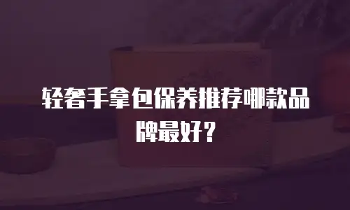轻奢手拿包保养推荐哪款品牌最好？