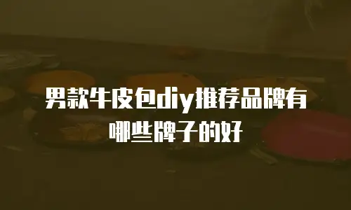 男款牛皮包diy推荐品牌有哪些牌子的好