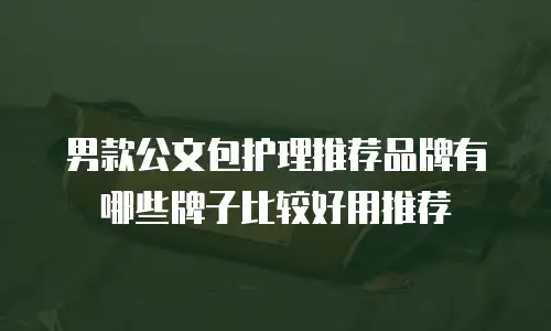 男款公文包护理推荐品牌有哪些牌子比较好用推荐