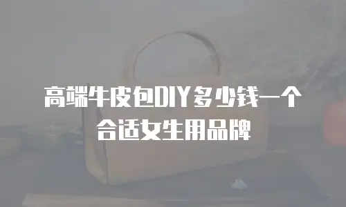 高端牛皮包DIY多少钱一个合适女生用品牌
