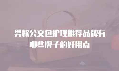 男款公文包护理推荐品牌有哪些牌子的好用点