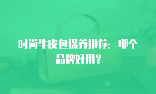 时尚牛皮包保养推荐：哪个品牌好用？