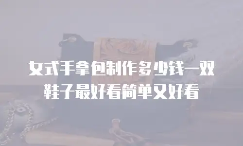 女式手拿包制作多少钱一双鞋子最好看简单又好看