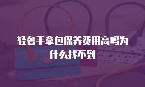 轻奢手拿包保养费用高吗为什么找不到