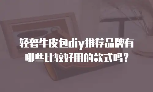 轻奢牛皮包diy推荐品牌有哪些比较好用的款式吗？
