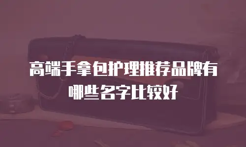 高端手拿包护理推荐品牌有哪些名字比较好