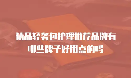 精品轻奢包护理推荐品牌有哪些牌子好用点的吗